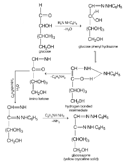 Biomolecules mcq solution image