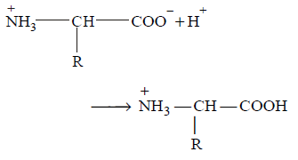 Biomolecules mcq solution image