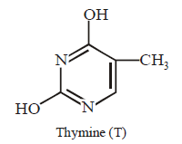 Biomolecules mcq solution image