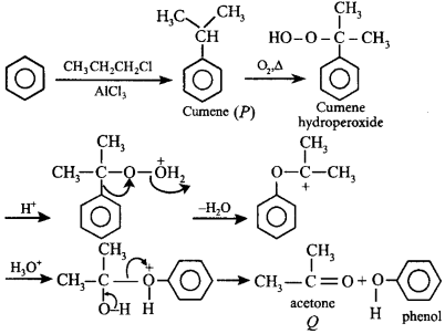 Hydrocarbons (Alkane, Alkene and Alkyne) mcq solution image