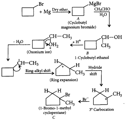 Electrophilic Aromatic Substitution (Haloalkanes and Haloarenes) mcq solution image