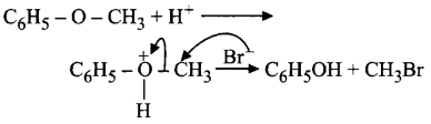 Alcohol, Phenol and Ether mcq solution image