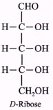 Biomolecules mcq solution image