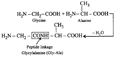Biomolecules mcq solution image