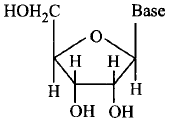 Biomolecules mcq solution image