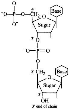 Biomolecules mcq solution image