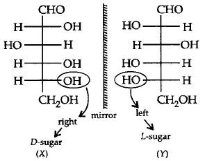 Biomolecules mcq solution image