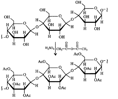Biomolecules mcq solution image