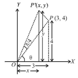 Straight Lines mcq solution image