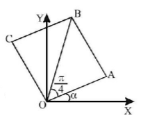 Straight Lines mcq solution image