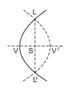Parabola mcq solution image