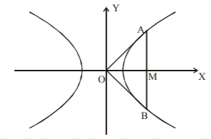 Hyperbola mcq solution image