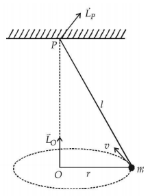 Rotational Motion mcq solution image