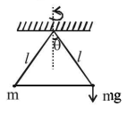 Rotational Motion mcq solution image