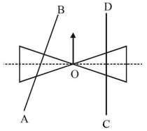 Rotational Motion mcq solution image