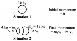 Momentum mcq solution image