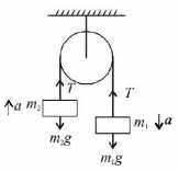 Laws of Motion mcq solution image