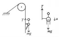 Laws of Motion mcq solution image