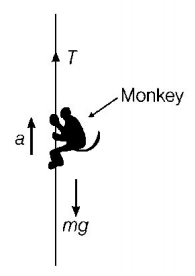 Laws of Motion mcq solution image