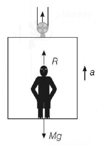 Laws of Motion mcq solution image