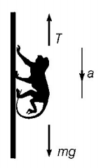 Laws of Motion mcq solution image