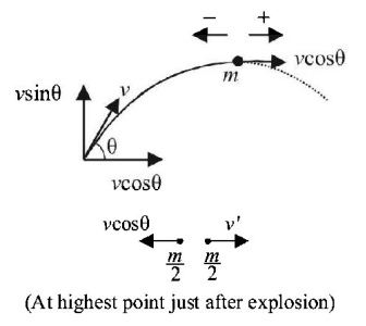 Work Energy and Power mcq solution image