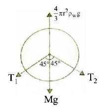 Mechanical Properties of Solids and Fluids mcq solution image