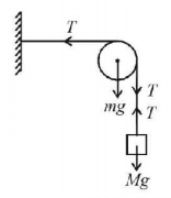 Laws of Motion mcq solution image
