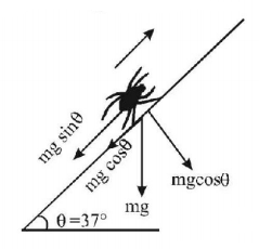 Friction mcq solution image