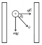Electric Field mcq solution image