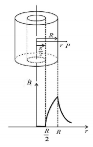Magnetic Effect of Current mcq solution image