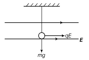Electric Field mcq solution image