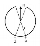 Electric Field mcq solution image