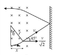 Magnetic Effect of Current mcq solution image