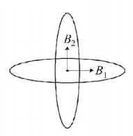 Magnetic Effect of Current mcq solution image