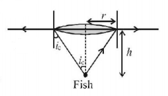 Ray Optics mcq solution image