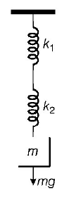 Simple Harmonic Motion (SHM) mcq solution image