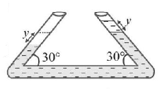 Simple Harmonic Motion (SHM) mcq solution image